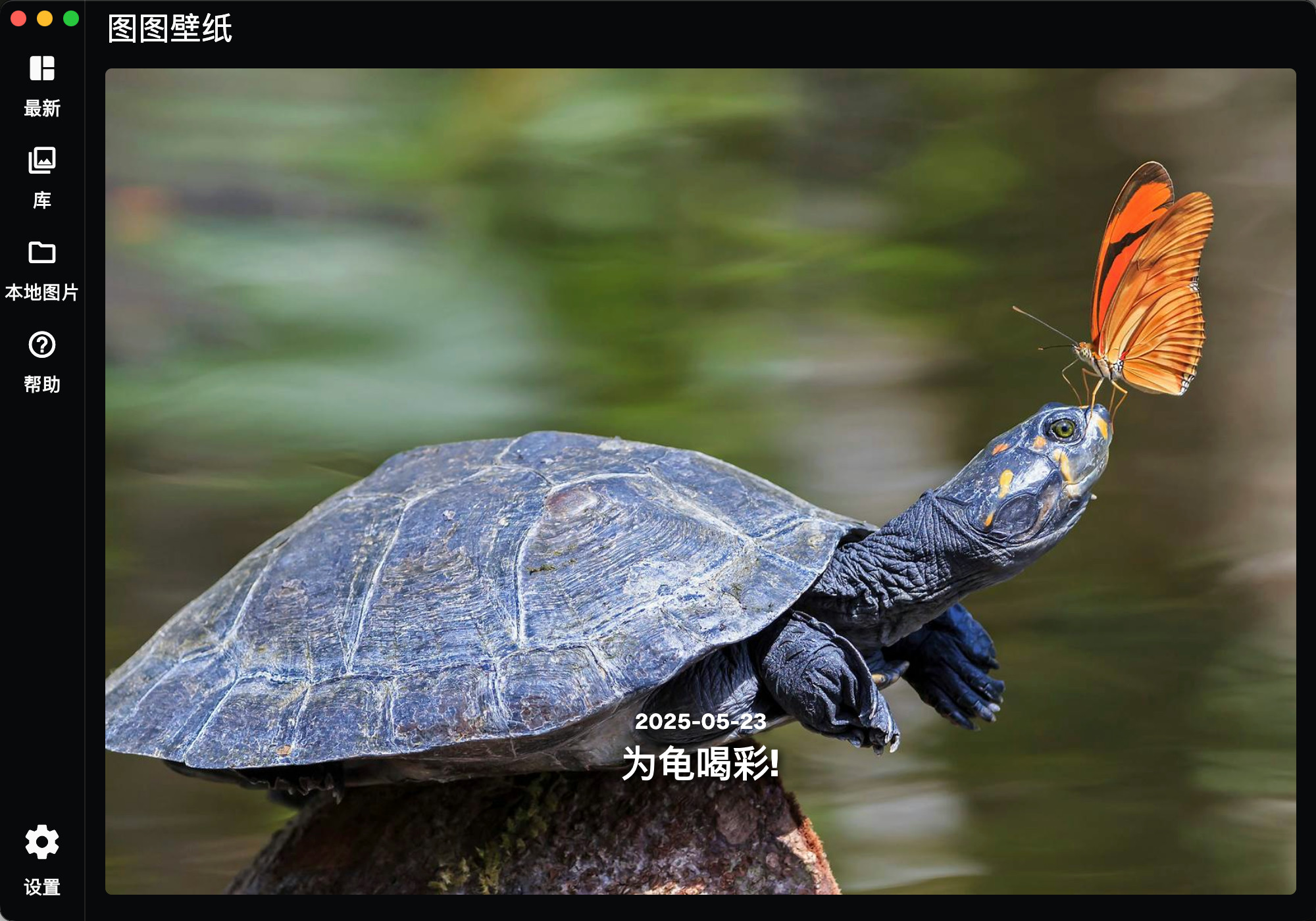 图图壁纸主界面截图